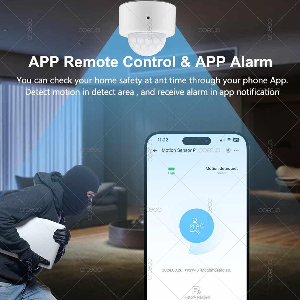 Ewelink Zigbee PIR Motion Sens - Smart Home Security review and price