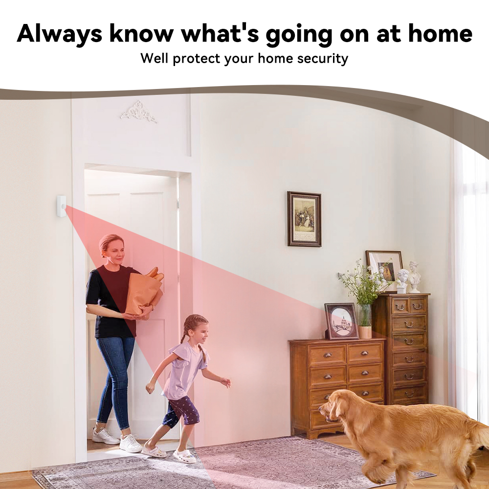 Tuya Smart PIR Motion Sensor S - Smart Home For Living review and price