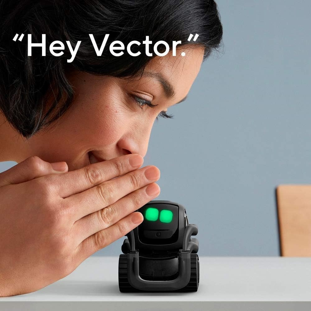 AI ChatGPT 2.0 Connected Robot - Smart Home Remote Control review and price