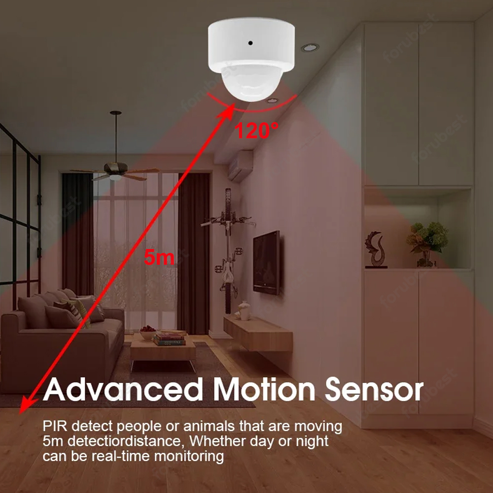 Zigbee 3.0 Human Motion Sensor - Smart Home Security review and price